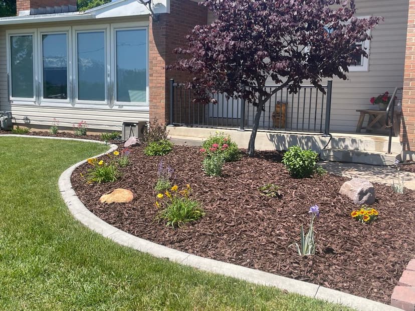 Eco-Friendly Solutions's image